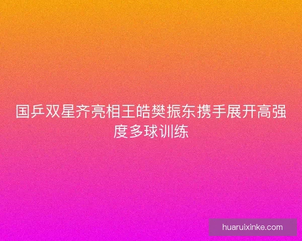 国乒双星齐亮相王皓樊振东携手展开高强度多球训练